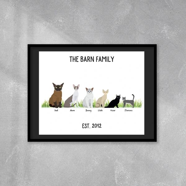 Black Frame And Mount