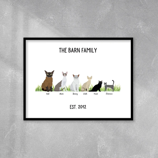  Black Frame