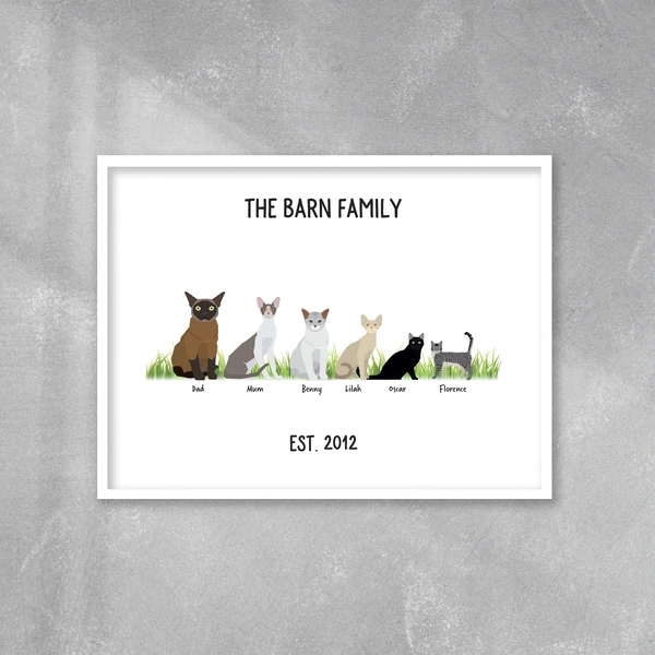  White Frame