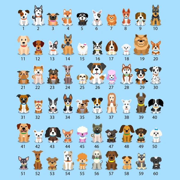  Dog Choices