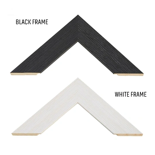  Frames