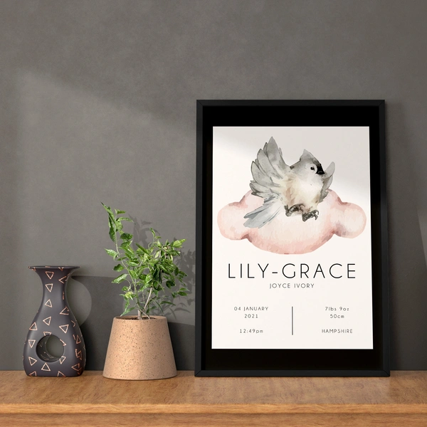  Black Frame And Mount